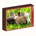 CHATON PUZZLE.webp