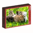 PUZZLE CHATON 1000 PIECES