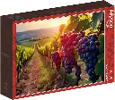 PUZZLE CHAMP DE VIGNES 1000 PIECES